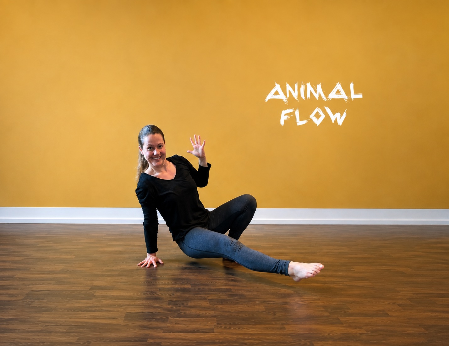 animal flow quer